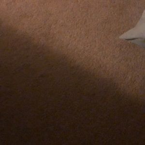 Meet your Posher, Rachelle